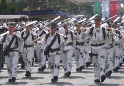 Il 2° Reggimento Alpini durante una parata in tenuta da sci